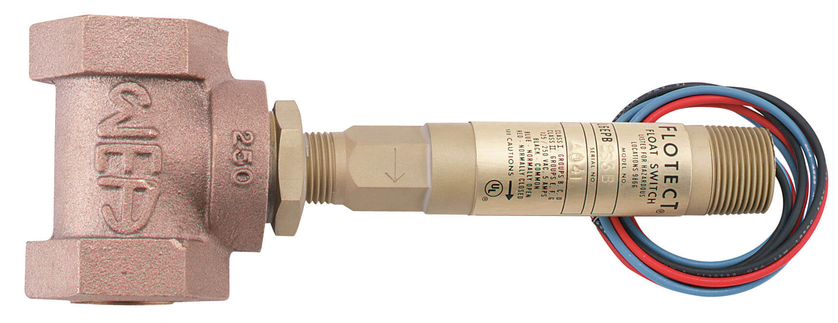 DWYER L6系列  FLOTECT® 液位开关 易嵌壁或外部安装，达到2000psig（138bar）