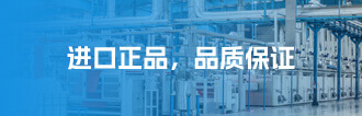 horiba质量流量计